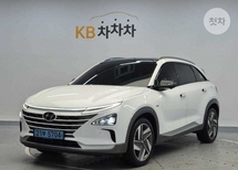 백기동 인증딜러의 판매 중인 넥쏘 프리미엄 중고차