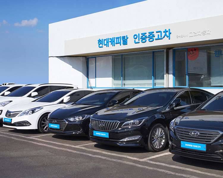 현대캐피탈 공식 지점 사진