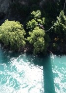 김동○님의 프로필