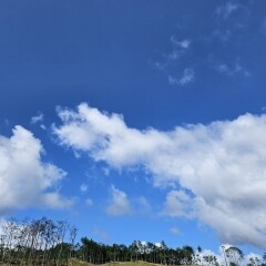 심영○님의 프로필
