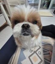 유영○님의 프로필