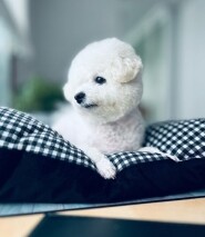 김종○님의 프로필