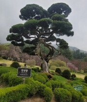 안문○님의 프로필