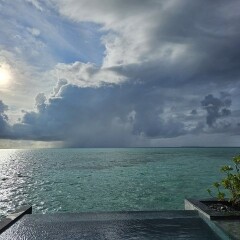 채경○님의 프로필