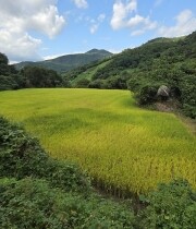 박은○님의 프로필