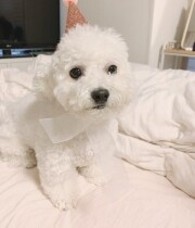 배민○님의 프로필