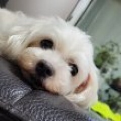 오승○님의 프로필