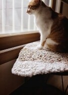 이수○님의 프로필