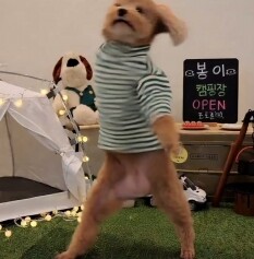 박세○님의 프로필