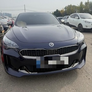 배영광 인증딜러의 기아 스팅어 마이스터 중고차 후기 사진